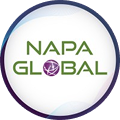 Napa Global logo